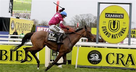 best bets for grand national 2016|2016 Grand National: Results, Runners & Fallers.